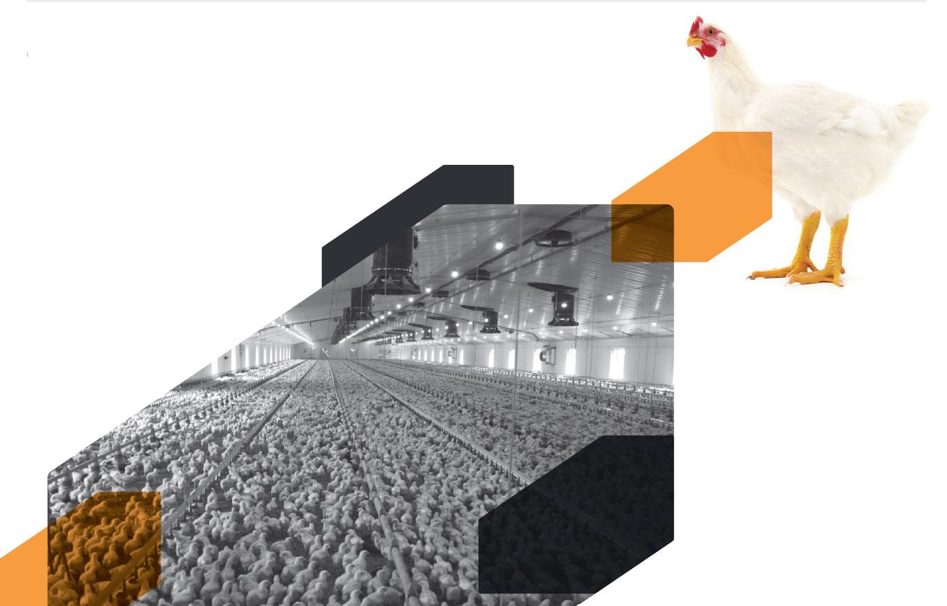 Poultry Farm
